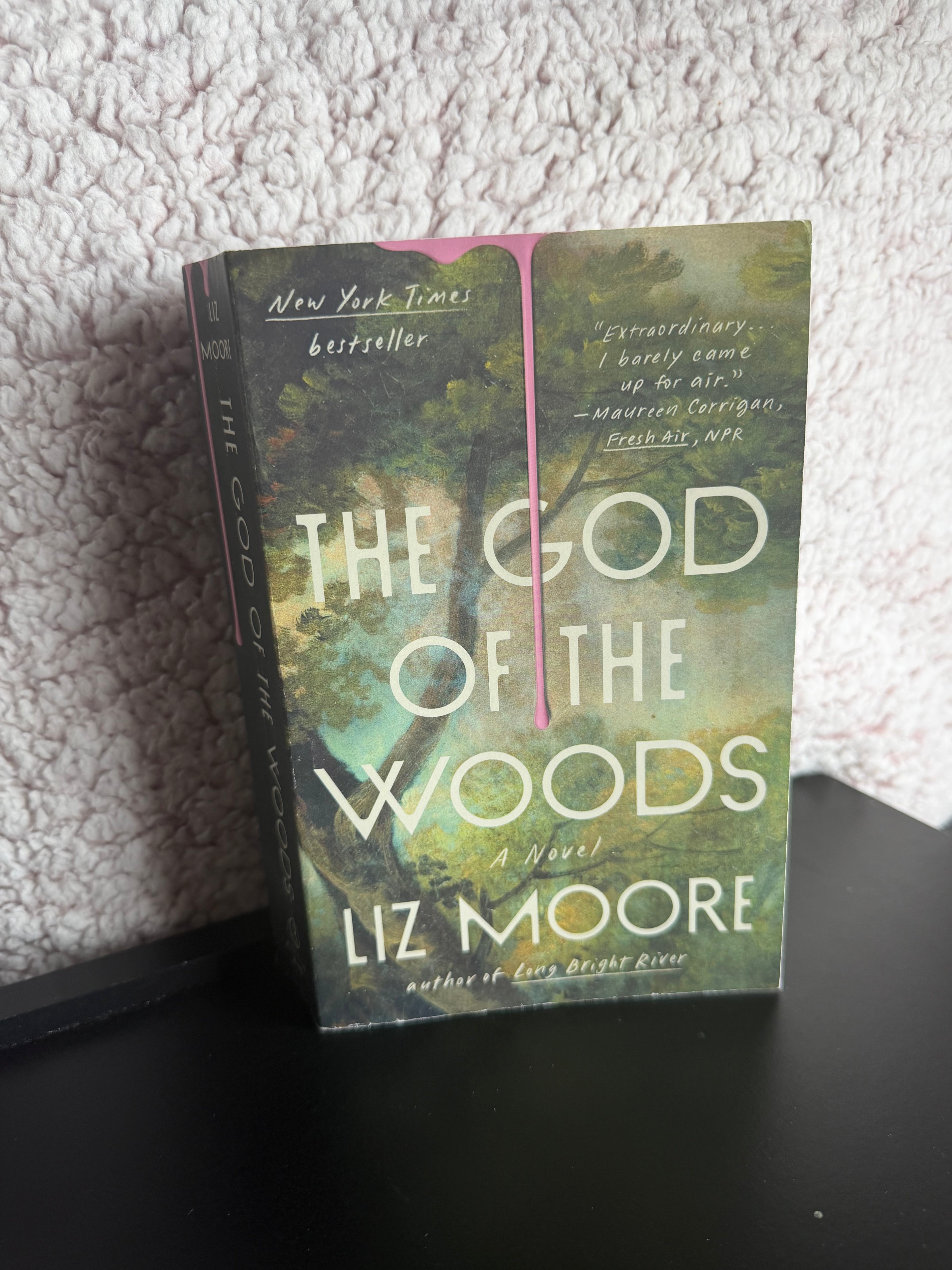 The God of The Woods (Paperback) - Condition: Good