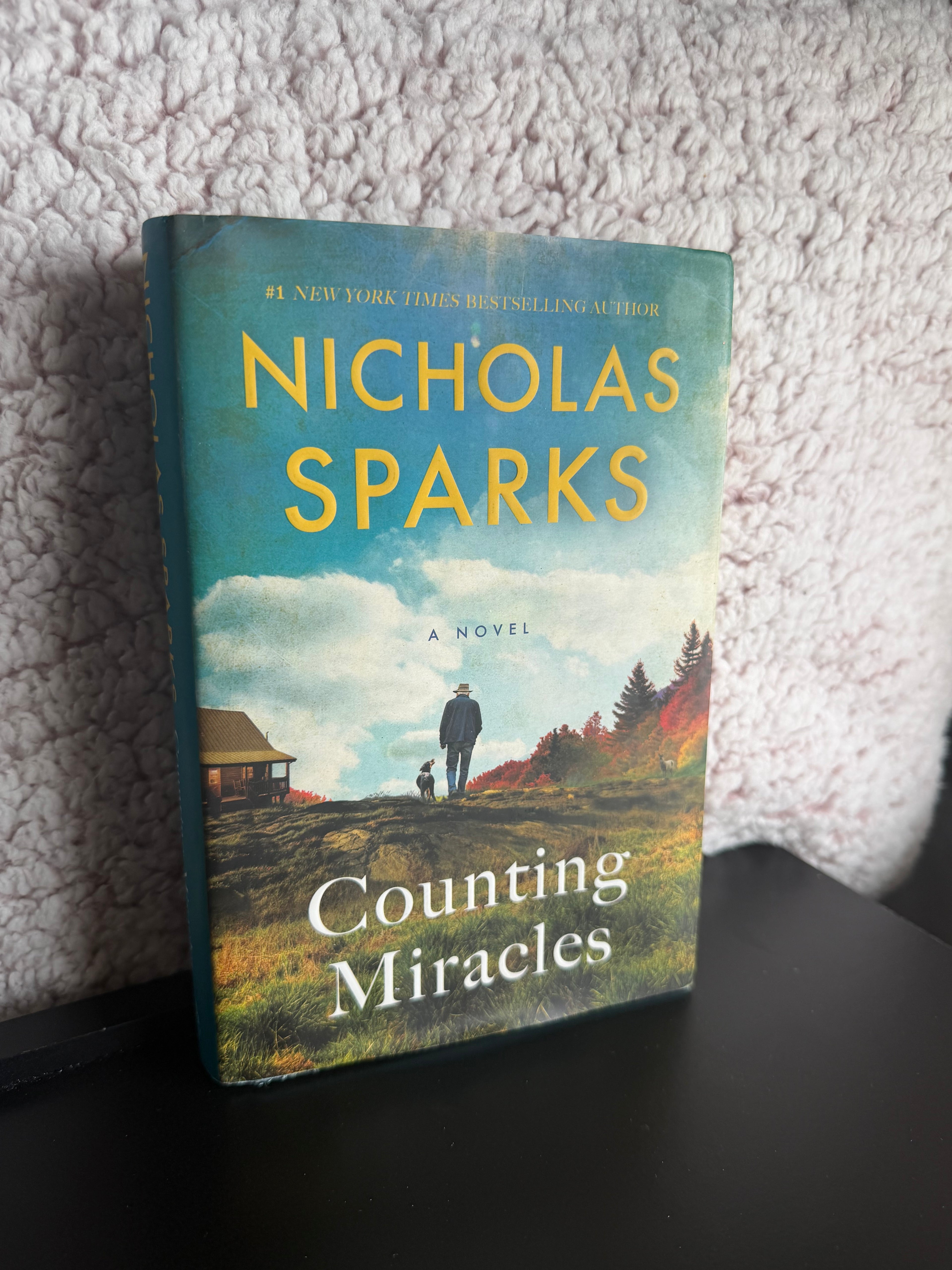 Counting Miracles (Hardcover) Condition: Like New