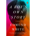 A Boy's Own Story
