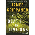 A Death in Live Oak: A Jack Swyteck Novel